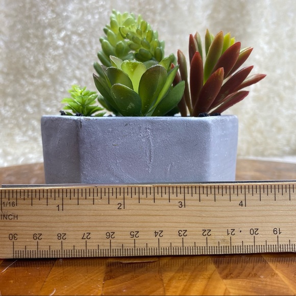 Faux succulents, 3-4 in 2”H hexagon shaped pots (2 available for purchase) - Picture 9 of 14